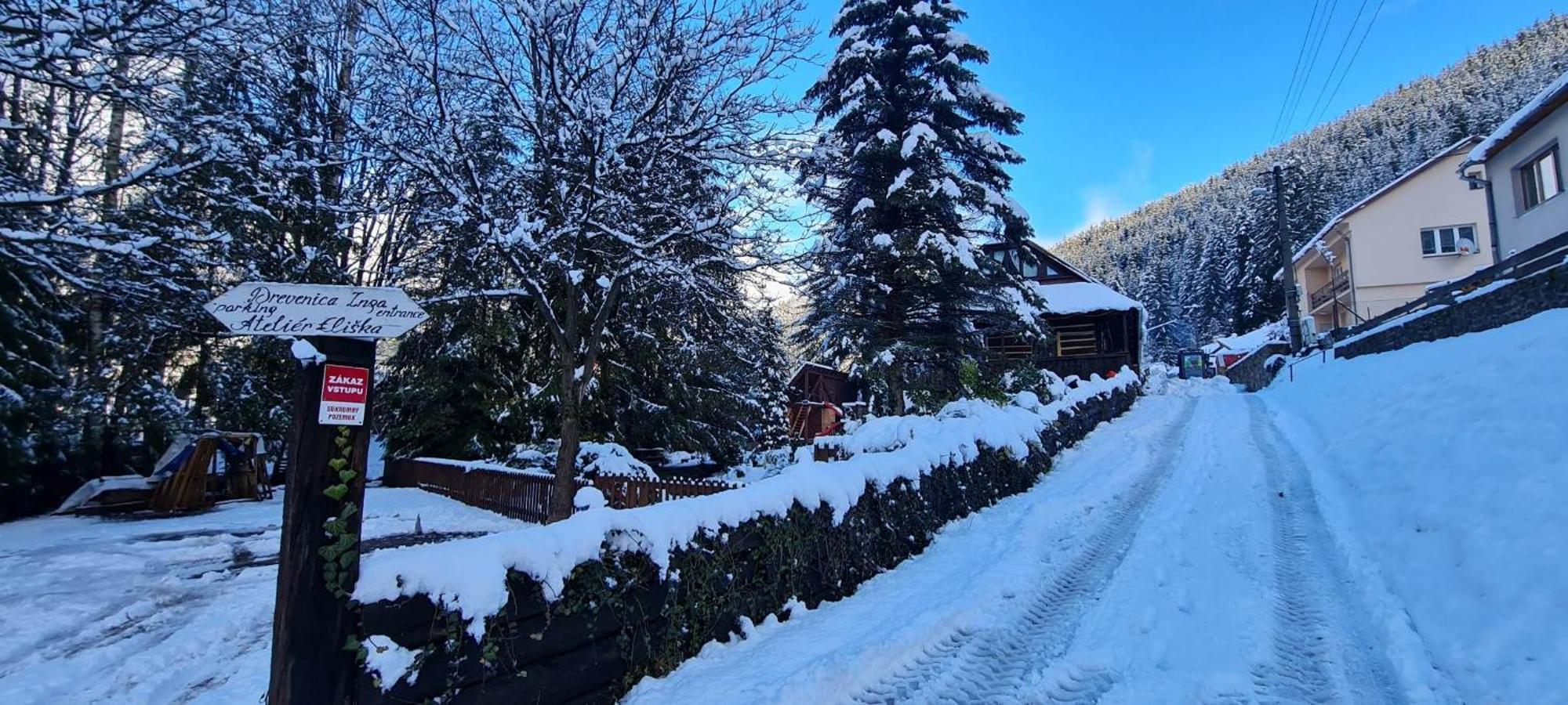 Drevenica Inga Villa Staré Hory Dış mekan fotoğraf